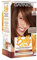 Belle Color Castano Dorato n. 23