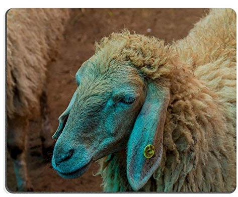 YENDOSTEEN Mouse pad gaming mouse pad goat in the farm PN00X3622