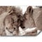 murando - Vlies Fototapete Löwe 450x315 cm - Foto Tapete Schlafzimmer Wohnzimmer Moderne Vliestapete XXL Wandtapete Motivtapeten Bildtapete 3d Effekt Wand Dekoration - Tiere g-B-0034-a-b