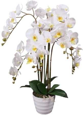 Lacers SmagragdLine Pflegeleichte Orchidee mit Topf weiß 75cm - dekorative Kunstpflanze für Wohnzimmer, Büro & Balkon - lebendige Farben, pflegeleicht, naturgetreue Optik, Dekopflanzen