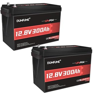 Dumfume 2 Stück 12V 300Ah Lithium LiFePO4 Batterie, 200A BMS 3840W Wiederaufladbarer Lithium Akku Batterie, 15000+ Zyklen für Solarenergie-Speicher, Backup-Stromversorgung, Wohnmobil