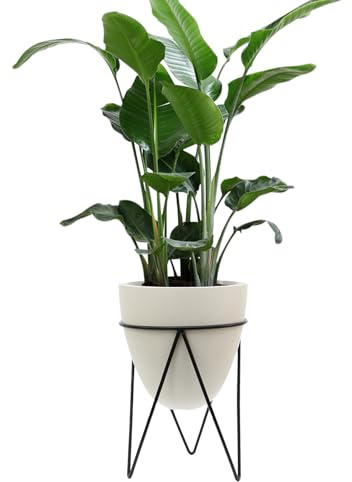 ZLXHDL Pot de Plante intérieure Intelligente avec Une Alarme d'eau Pot de Fleur Moderne alimenté par Batterie avec des Pieds en Bois Massif de Grande capacité Handle et Conception de (Egg-Shaped)