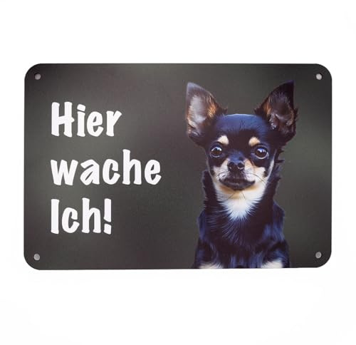 Chihuahua Kurzhaar „Hier wache ich!“ Hundeschild – UV- und wetterfestes Warnschild für Gartenzaun, Tor und Grundstück – Zaunschild aus Aluverbund, 24 x 16 cm – Made in Germany