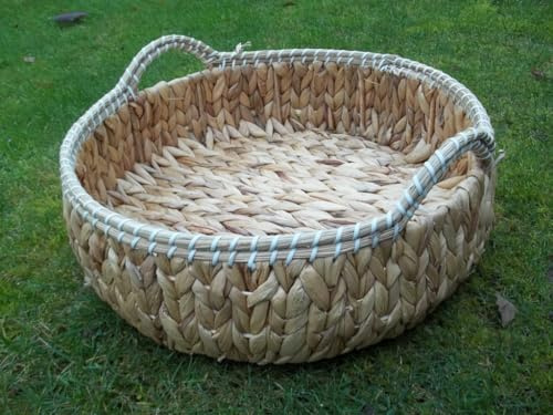 Bandeja de jacinto de agua 40cm x 40cm x 13/16cm