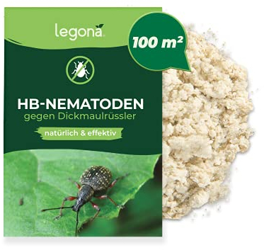 Legona HB-Nematoden gegen Dickmaulrüssler - 100m² / 50 Mio - hochwirksam & biologisch Käfer und Engerlinge des Junikäfer und Gartenlaubkäfer bekämpfen