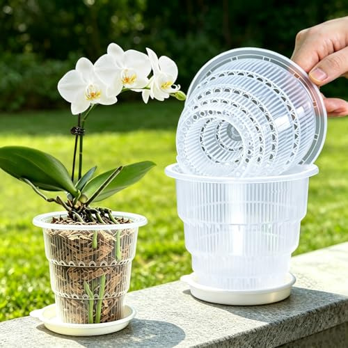 Meshpot Transparente Orchideentöpfe mit Löchern und Untersetzern zum Umtopfen, kleine Kunststoff-Orchideen-Pflanzgefäße Sorgen für Gute Luftzirkulation, Pflanztöpfe für Sukkulenten, Kräuter, Aloe,