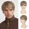FAELBATY Kurze Blonde Perücke für Männer Kurze Gerade Mens Perücke Realistische Natürliche Männliche Seitenteil Perücke Schichtes Kostüm Party Tägliches Haar Synthetische Männer Kurze Perücke