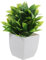 ADOCARN Mini Bonsai Artificiel Décoratif Plantes Faux Pot pour Décoration Intérieure Et Bureau Apparence Naturelle sans Entretien pour Ambiance Relaxante