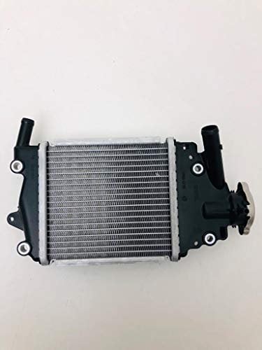 RADIATORE ACQUA RADIATOR SH 125 E 150 DAL 2013 AL 2016