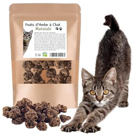 Fruits d'herbe à Chat Matatabi, Fruits Matatabi Jouets pour Chats – Nettoyage des Dents & Stimulation Intense – 20 Unités