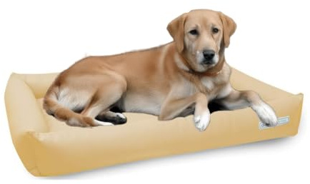 dogsfavorite, Hundebett Starter Visco aus Kunstleder, Hundekissen, orthopädisch, 110 x 80 cm, Creme