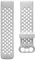 Fitbit Charge 4 Sport Band Accessory