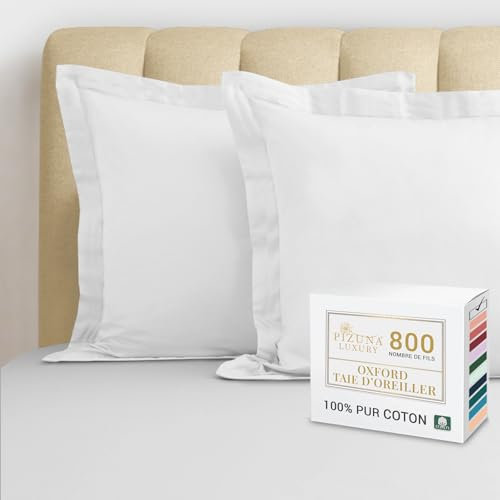 Pizuna Luxueux Set de 2 Taies d'oreiller 65x65 cm Blanc, 100% Coton Longue Tige 800 Fils Armure Satin Taies d'oreiller Douces 65x65 en Coton (Blanc Taies d'oreiller 2 Pièces)