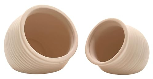 M2cbridge Pottery Keramikgefäß, Naturtonvase, Buntbarsch, kleine Fische, Garnelen zum Spielen, Verstecken von Rassen (cremiger Ton, 2 Stück)