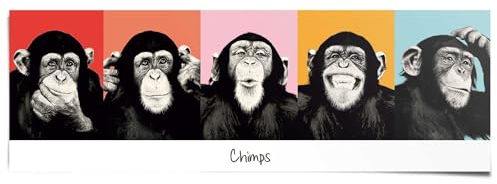 REINDERS Poster, Schimpanse, Kinderzimmer, Bilder, Wanddeko, Room Decor, 170 gr. glänzend Bilderdruckpapier, Mehrfarbig, 53x158cm
