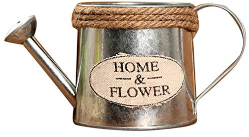 Benoon Vintage Lettere Incise Annaffiatoio, Bollitore di Ferro Attrezzi da Giardino Decorazione Casa per Bonsai Pianta Fiore Ferro Corda
