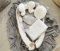 PUSTELBLUME Grau/WEISS Waffelpique Bio-Baumwolle Babynest Neugeborene Baby Unterlage Reisebett Nestchen SOLO/o. in PREMIUM Ausstattung SETS (Nestchen + DECKE (80x100cm) + MATRATZE + 2 x Kissen)
