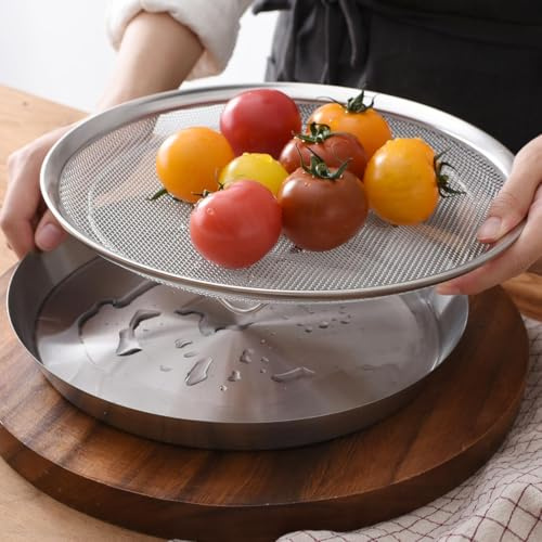 WAGENSTEIGER Stainless Steel Mesh Tray Set with Drip Pan, Air Fryer Basket and Tray, Kitchen Colander, Vegetable and Fruit Strainer, Food Filter, BBQ Prep Tool, Fruit Serving Dishes (11.42 inch)