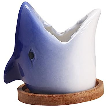 OFFSCH 2pièces Pots De Plantes Céramique Cartoon Plante Succulente Décorative Pot à Fleurs Océan Série pour Bureau Et Maison