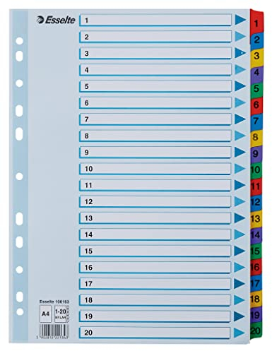 Esselte Register A4 1-20, robuster Karton mit Mylar-verstärkten Reitern, blau/Mehrfarbig