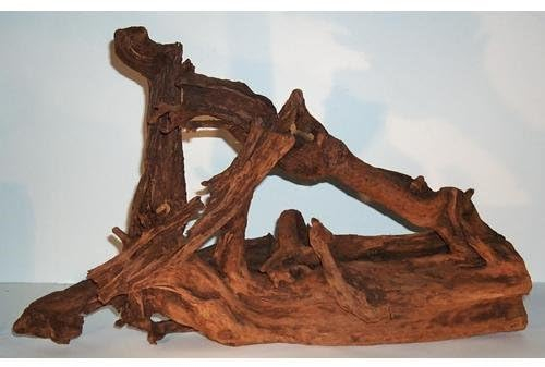 Mangrovenwurzel Traumwurzel Gr: L 35-60 cm Echtholz Naturprodukt