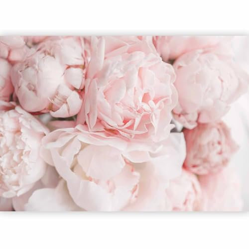 murando - Papier Peint Panoramique Adhésif Nature 343x256 cm - Tapisserie Murale Autocollante Décoration Chambre - Marron rose gris - Rose les plantes nature bouquet fleurs pivoines b-C-10086-a-a