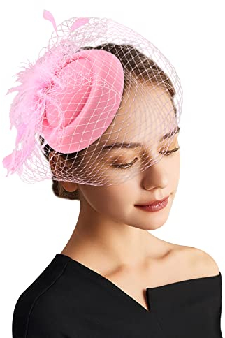 DRESHOW Fascinator Hüte für Damen Pillbox Hut mit Schleier Stirnband und Einer Gegabelten Clip Tea Party Kopfbedeckung