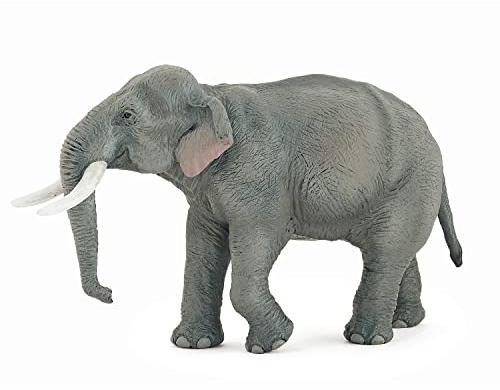 Papo - Große Tierfigur - Asiatischer Elefant, Beschützer des Dschungels, Kinderspielzeug ab 3 Jahren - Wissen über bedrohte Tierarten