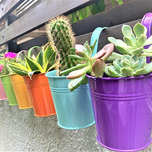 LaLaGreen Hängende Pflanzgefäße für den Außenbereich, 10 Stück, 15.2 cm, bunt, großer Metall-Blumentopf, Balkon-Pflanzgefäß, Geländer, hängende Kräuter, Garten, Eisen, Veranda, Außenwand