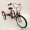 Ethedeal 24 Dreirad für Erwachsene mit Einkaufskorb, 6 Geschwindigkeit 3 Rad Fahrrad Senioren Dreirad Cruise Bike, Comfort Fahrrad für Outdoor Sports Shopping (Rot)