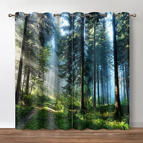 Jekeno Forest Tree Verdunkelungsvorhänge – blockierender Fenstervorhang mit Dschungel, wildes Unkraut, Natur, grüne Bäume, Landschaft, Druck, Dekoration, Zuhause, 2-teiliges Set, 106.7x137.2 cm