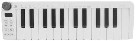 Drfeify 25 Key MIDI Keyboard Controller Force Sensitive Keys Wireless Compact Design for Music Producers ABS Black