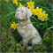 Reconstituted Stone Sitting Labrador Statue | Vintage Concrete Outdoor Dog Puppy Garden Ornament