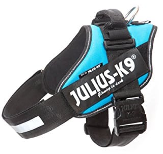 JULIUS K-9 IDC Powergeschirr, Größe: L / 1, Aquamarine, 16IDC-AM-1