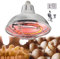 DBZDM Lampada Riscaldante per Pulcini Rettili Tartarughe e Cani, 220V Lampada Riscaldante Infrarossi da Esterno e Interno, Temperatura Regolabile: 200W-400W