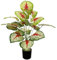 Zelihrdu Albero Pianta Artificiale con Vaso, Finte Piante Artificiali Interno Esterno Realistiche, Grande Decorazioni per Soggiorno Casa Ufficio Camera da Letto (70cm Palma Rossa)