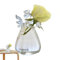 Terrariumbehälter für Hydrokultur-Blumenvase aus Glas | transparenter Behälter für Engel | Hydrokultur-Vase, Hydrokultur-Pflanzgefäße für Engel