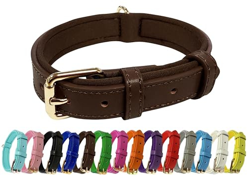 Vibrant Genuine Leather Adjustable Dog Collar with Soft Neoprene Padding, Metal Buckle and D-Ring, For Small, Medium & Large Dogs (Brown, Small (25-33cm Neck))