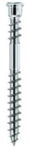 Format 4250207432302 – Terrassotec Edelstahl gehñrtet 5.5 x 70 TX25