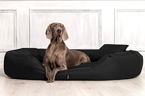 tierlando® Orthopädisches Hundebett Sammy mit viscoelastischer Matratze und hohem Rand aus robustem Polyester für gelenkschonenden Schlaf und höchsten Komfort Größe: 170x110cm | Farbe: 03 Schwarz