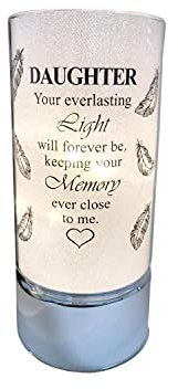 David Fischhoff Family Members Light Up Memorial Light Tube Sparkly Shimmering Indoor Decoration Daughter