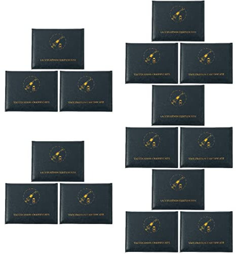 Gadpiparty 15stücke Impfpasshüllen Mit Doppelkarte Schützende Ausweiscover Für Impfkarte Und Id-karten Und Langlebig Für Unterwegs Sicheren Aufbewahrung