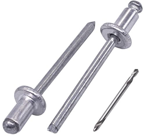 SKIR'CO (100 piezas) Remaches ciegos de aluminio 4.0 x 6 mm, mandril de acero, remaches de pop, cabeza de cúpula, broca incluida