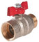 Vannes Papillon (MF) (20 X 27 - (3/4))