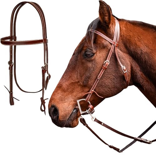 Eqvin Premium-Leder-Stirnband für Pferde – verstellbarer Pferdehalfter aus hochwertigem Leder – robuster Pferdehalfter mit Edelstahlschnalle