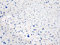 DecoMeister Vinilo Adhesivo Para Muebles Pared Cocina Imitación de Azulejos Azules Papel Autoadhesivo Para Forrar En Rollo Lámina Pegatina Decorativa Decoración Para Puertas Armarios 67,5x25 cm