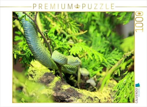 CALVENDO Puzzle Gefährliche Schlangen - Die Grüne Buschviper | 1000 Teile Lege-Größe 64 x 48 cm Foto-Puzzle für glückliche Stunden