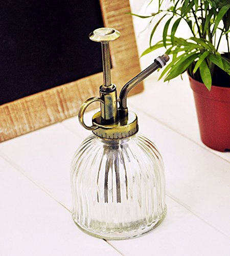Botella con pulverizador de estilo Vintage de cristal transparente para agua, para plantas, diseño decorativo, con bomba en la parte superior, de e-meoly
