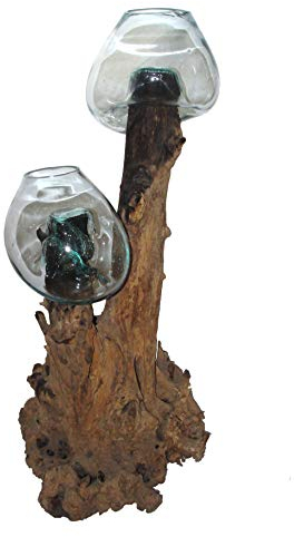 SAWA Spezial Deko Baumstamm Glas-Vasen 110 cm Dekovase Wurzelholz Vase mit Holz