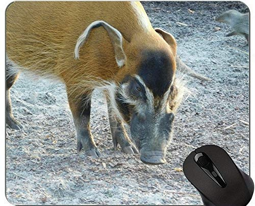 Animal Design Cute Baby Pig Mousepad,Brush Ear Pig Mouse Pad With Stitched Edges